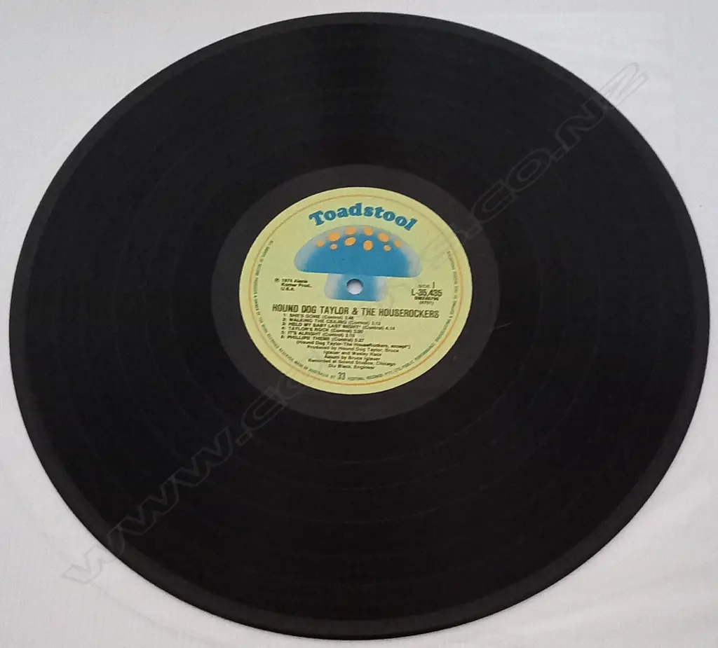 Hound Dog Taylor & The House Rockers, Hound Dog Taylor And The House Rockers Image 1++